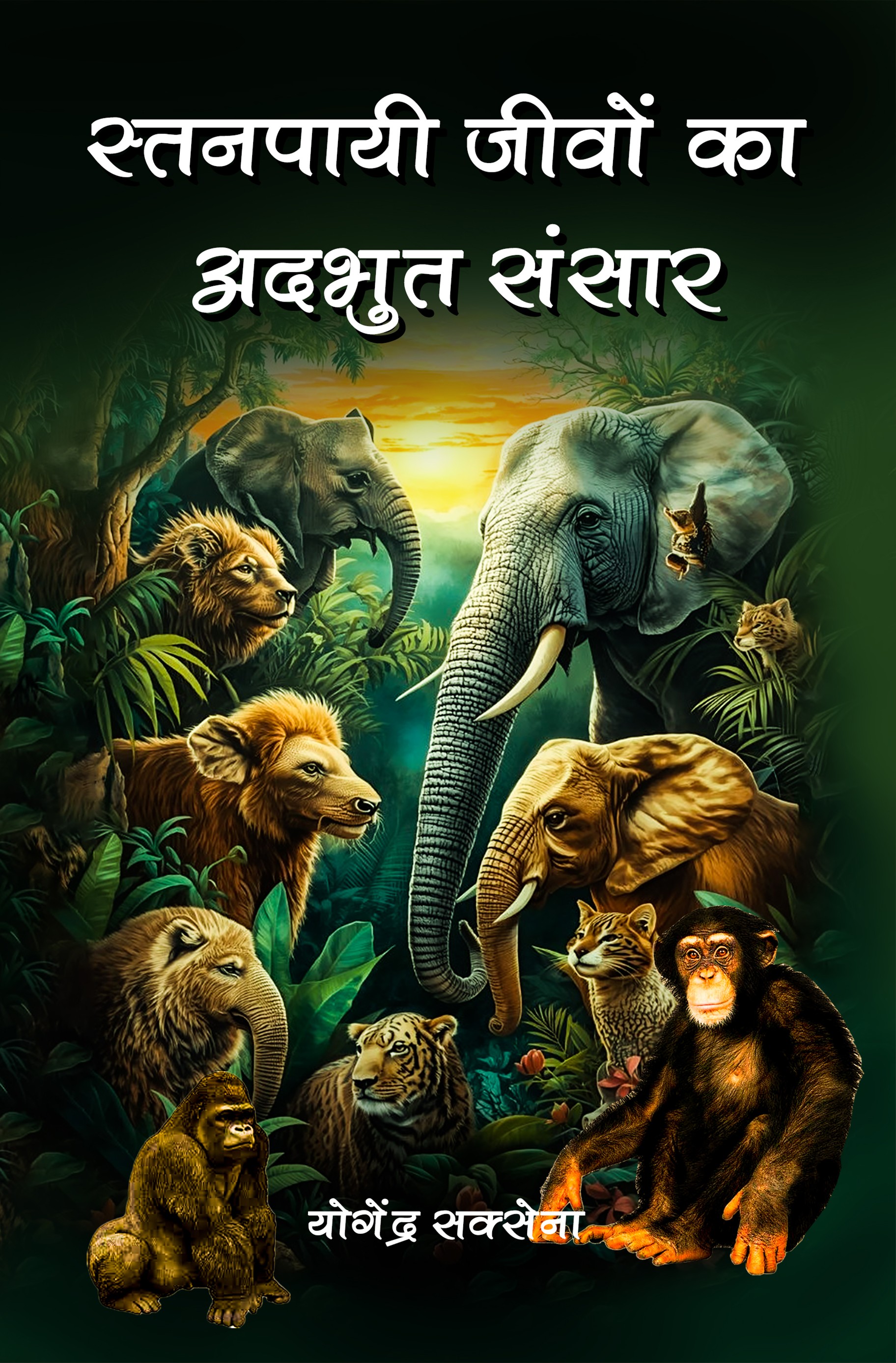 Book Cover