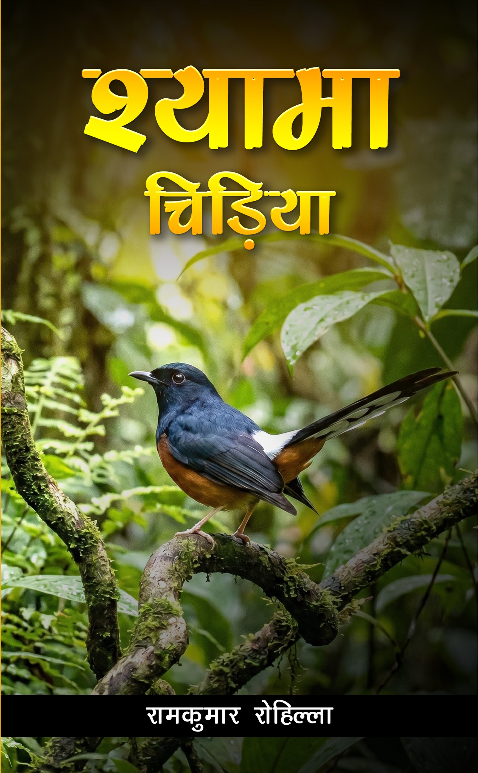 Book Cover